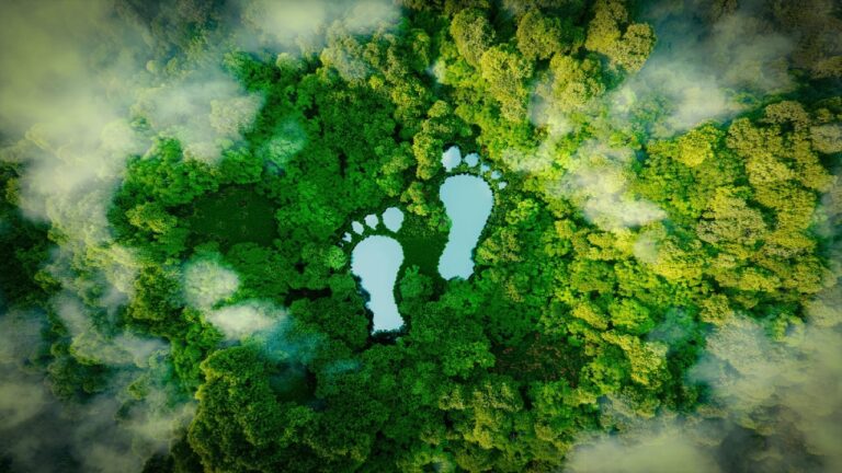 Fairy, karbon ayak izini azaltacak öneriler sundu