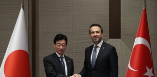 türkiye japonya enerji