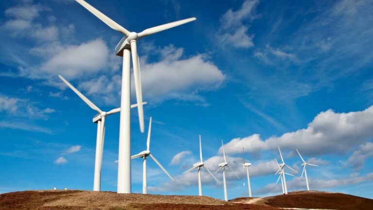 Enerjisa Üretim ve Enercon, ekipman sevkiyatları için imzaları attı