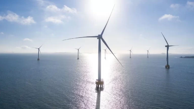 TotalEnergies, rüzgar projesi ile New York’a kurulacak