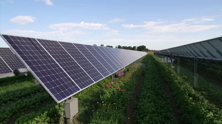 ABD güneş enerjisi kurulumunda rekor kırdı