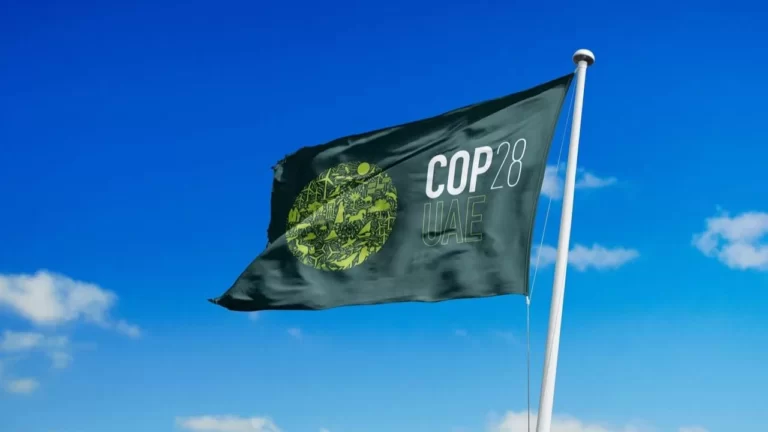 COP28: Çin’e yönelik yanlış bilgilere karşı uyarı