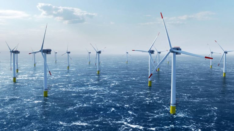 BIMCO’dan açık deniz rüzgar enerjisine yeni bir adım