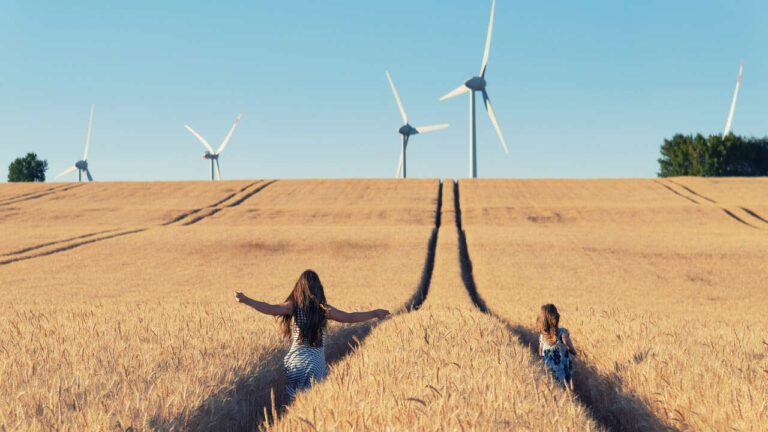 Yenilenebilir enerji girişimleri ve sosyal etkisi