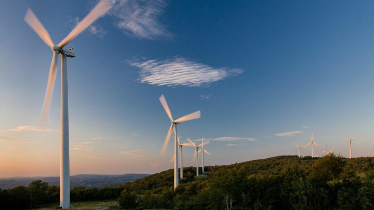 Küresel yeşil enerji geçişi için gereken maliyet şaşırttı