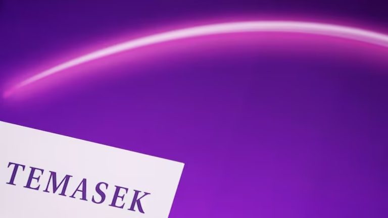 Temasek, yeşil enerji projelerine yatırım yapıyor