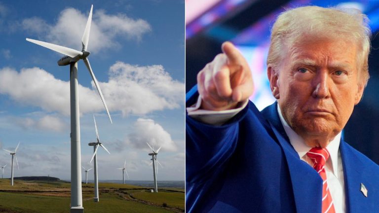 Trump’tan rüzgar enerjisi projelerine ruhsat durdurması!