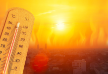 Dünya tam 2,6 derece ısınabilir