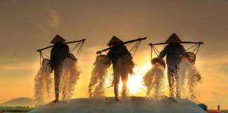 Güneş Enerjisi Depolama Teknolojisinde Tuz Yatakları Dönemi