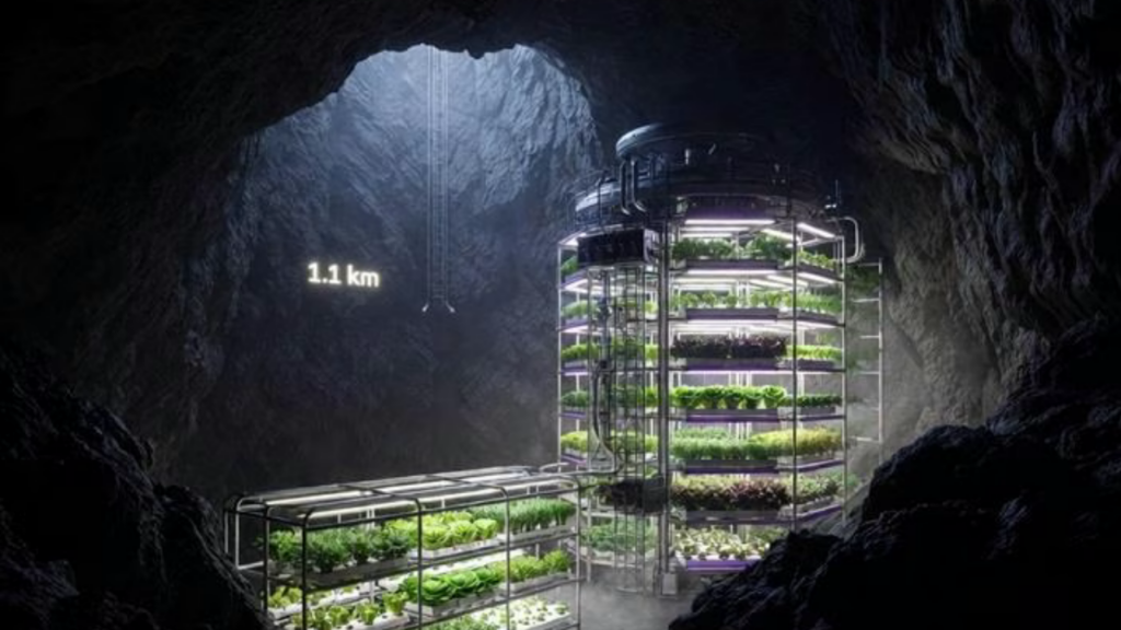 Derin dikey çiftlik projesi