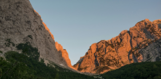 Slovenya batarya teşvikleri