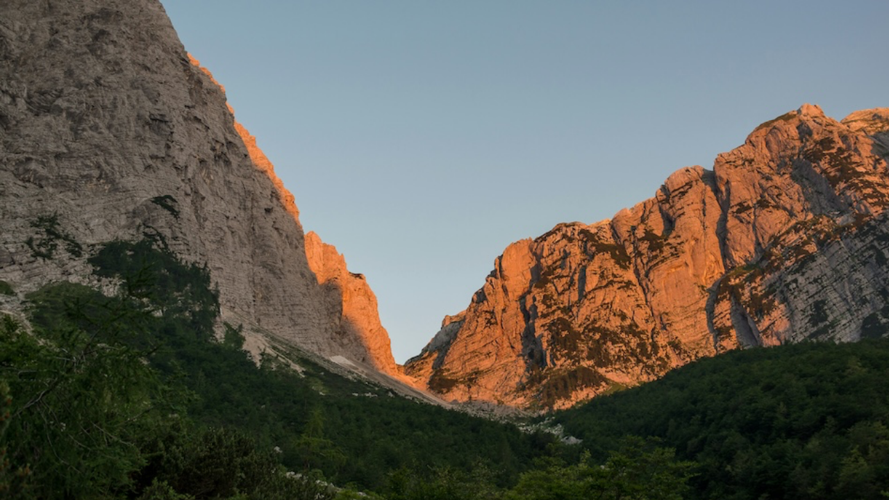 Slovenya batarya teşvikleri