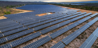 Atlas Renewable Brezilya yatırımı