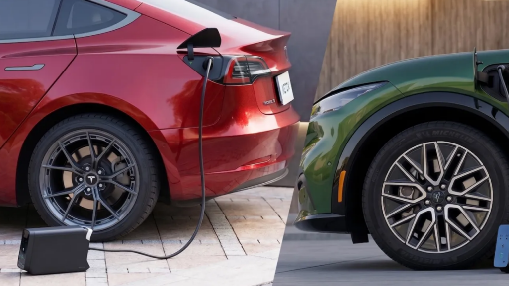 WETOX D2 V2L adaptörü