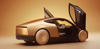 Tesla robotaksi hızı